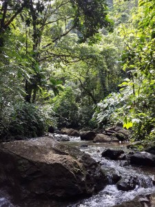 Cascada-chocolatal-Bahía Solano 1