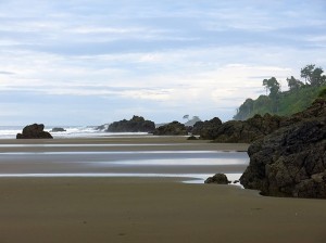 almejal-5 (2)